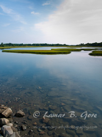Serene Marsh Coast