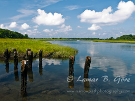 Crumbling Marsh Docks
