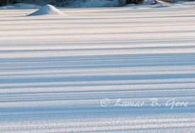Morning Snow Shadows