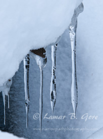 Bars of Ice