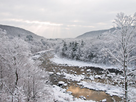 Magical Powdered Flow